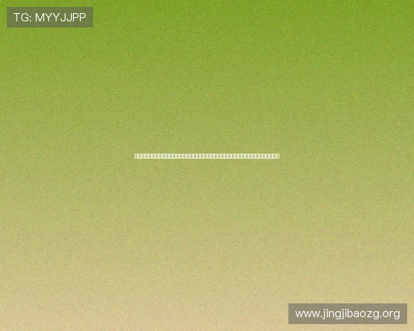 澳门回力娱乐场为世界杯期间的体育迷提供专业的赛事分析与专家点评,助你更好理解比赛走势